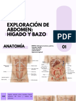 Exploracion de Abdomen Higado y Bazo