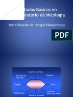 Métodos Básicos en El Laboratorio de Micologia