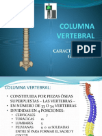 OSTEOLOGÍA - Columna Vertebral, Tórax