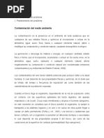 Contaminación Del Medio Ambiente