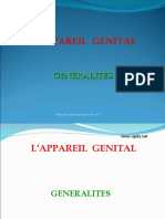 Appareil Genital