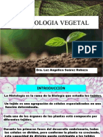 Segunda Semana Histologia Vegetal