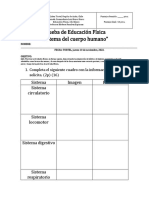 Educ Fisica Sistemas Del Cuerpo