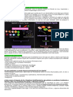 Clase-Respuesto de Fase Aguda