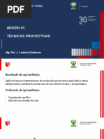 Sesión 1 - Técnicas Proyectivas