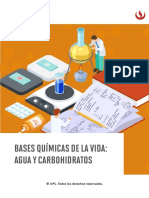 Bases Química de La Vida Agua y Carbohidratos V4