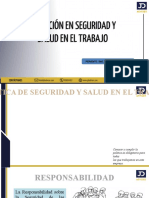 PPT Cap-Inducción en SST