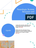 L1 SBM Neuro 1