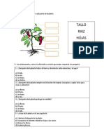 Ev.n°1 Ciencias