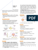 Vejiga Neurogenica