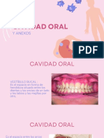 Cavidad Oral