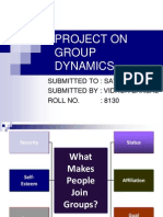 Project On Group Dynamics 2