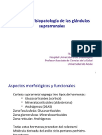 Tema 27 Fisiopatología de Las Glándulas Suprarrenales