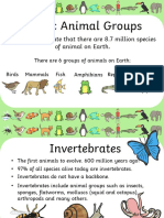 Animal Groups and Quiz