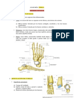 Apuntes Anatomía Tema 4