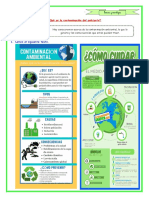 E4 Ficha d3 CT Contaminacion Del Ambiente