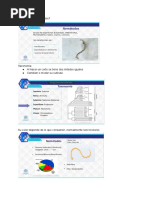 Nematodos Merged