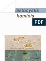 Blastocystis Hominis