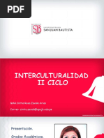 Modelo de Diapo - Intercult. II Ing Sist. Ma-Mb-Nu