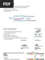 Cytophysio Transcription