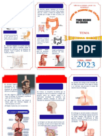 Triptico Del Sistema Digestivo