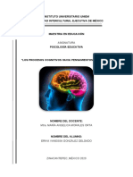 Los Procesos Cognitivos Hacia Pensaminetos Complejos