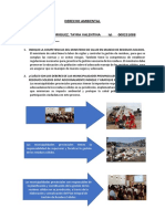 Componente 1 Derecho Ambiental (Trabajo 1)