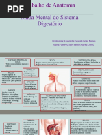 Trab Anatomia Mapa Mental