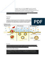 Investigacion CT