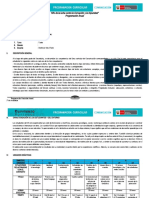1 Programación Anual-Quinto Currículo Nacional 2020