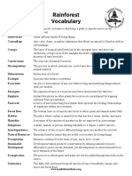 Vocabulary Rainforest