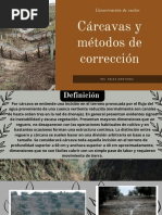 Cárcavas y Métodos de Corrección