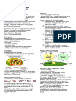 Photosynthesis and Cellular Respiration