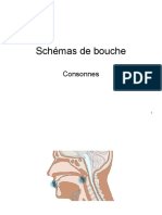 Diapo Schemas de Bouche