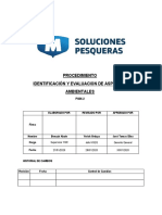 PG06.2 Identificación y Evaluación de Aspectos Ambientales SP V00