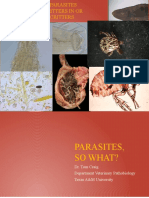 Parasite Presentation