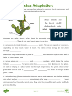 SCIENCE 18TH JAN-cactus-Adaptation - Ver 3