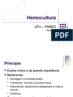 Prática 14 - Hemocultura