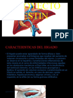 Proyecto Estin Diapositiva 2do Ea B