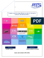 Rapport de Stage.