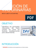 Infección de Vías Urinarias: Médico Lizbeth Cruz Martínez