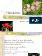 Angiosperm As