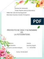 Proyectodevidalisto