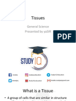 PPT - Tissues