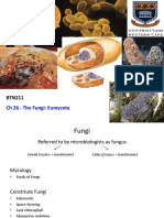 CH 26 - The Fungi