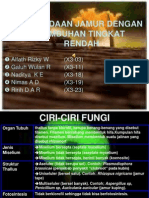 Jamur Vs Tumbuhan Tingkat Rendah