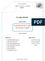 La Copy Strategy PDF