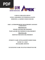 Report Practical 2 - Nutrient Analysis