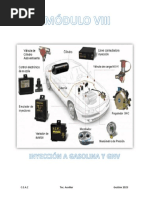 Modulo Viii Inyeccion