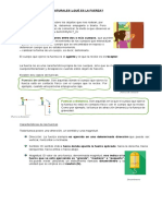 Guía Ciencias Naturales "¿Qué Es La Fuerza?: Fuerzas de Contacto